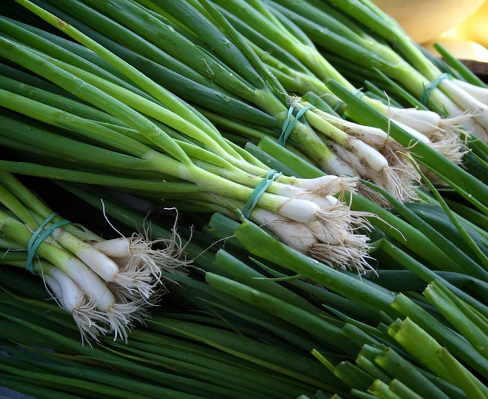 How To Regrow Green Onions?